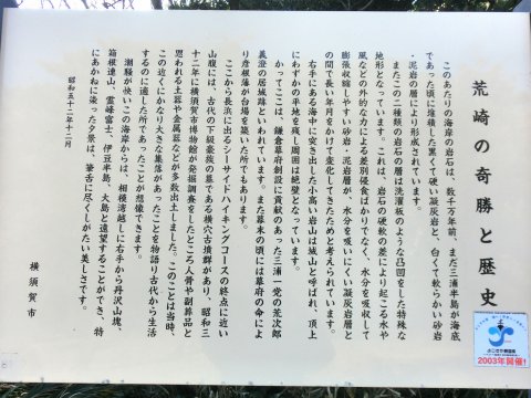 e0045768_2132555.jpg