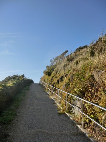 e0045768_2135924.jpg