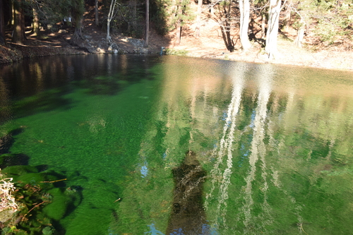 f0342371_2002597.jpg