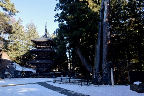 f0342371_2022118.jpg