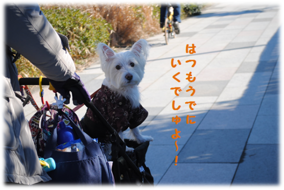 b0242873_01234129.png