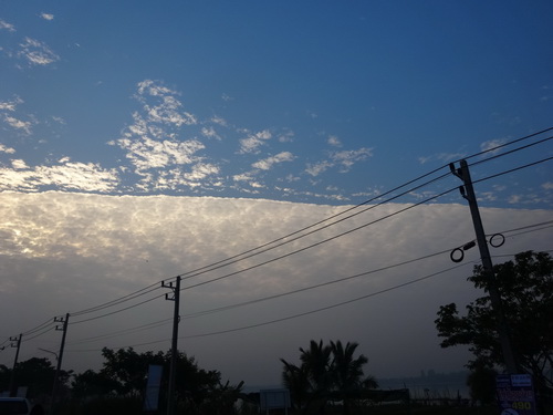 a0002177_1401896.jpg