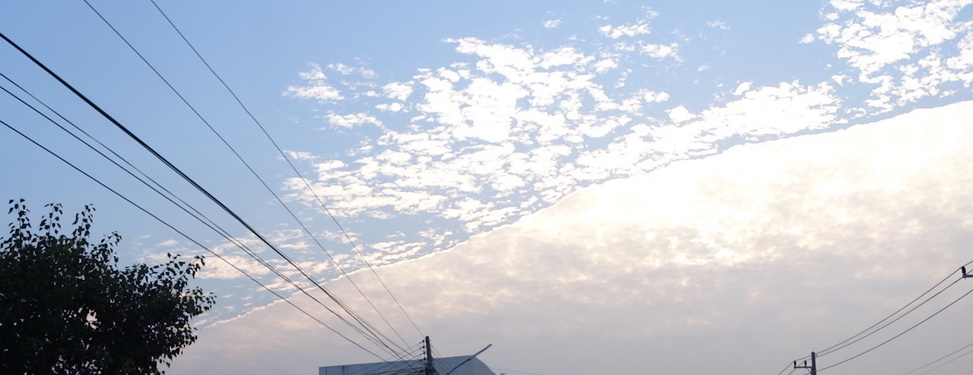 a0002177_1402757.jpg