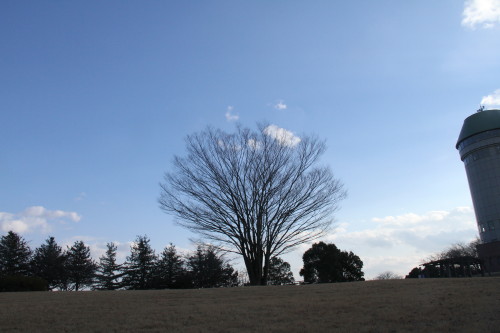 e0114977_130496.jpg