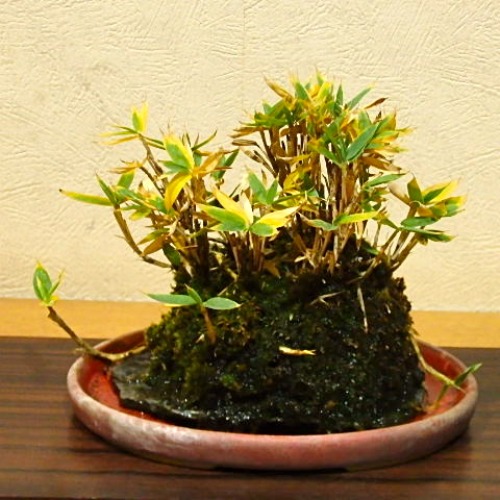 e0298782_20374625.jpg