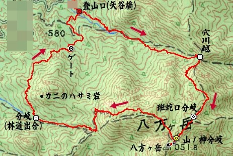 f0357487_21552597.jpg