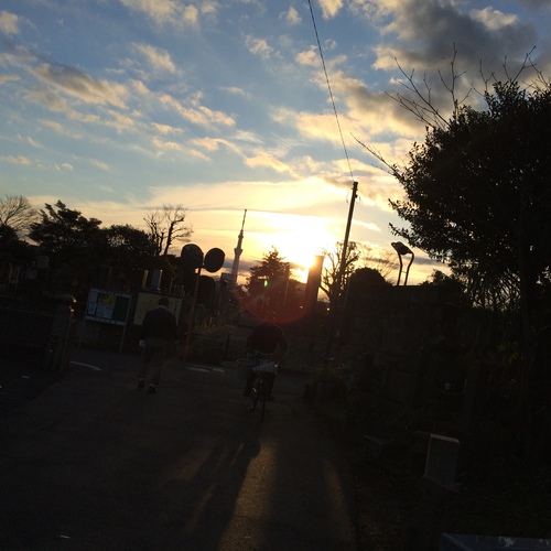 a0326292_1037861.jpg