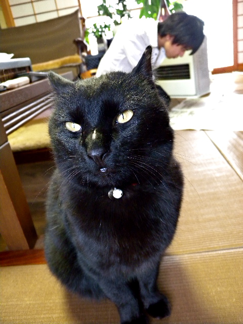 a0199297_1335257.jpg