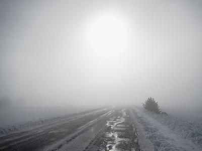 a0310405_14030437.jpg