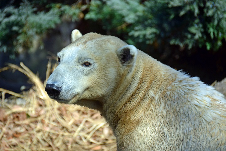a0151913_17474244.jpg
