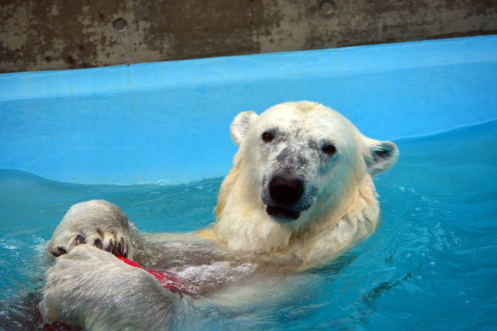a0151913_17485422.jpg
