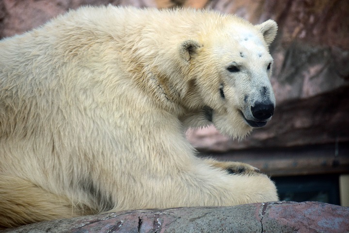 a0151913_17501716.jpg