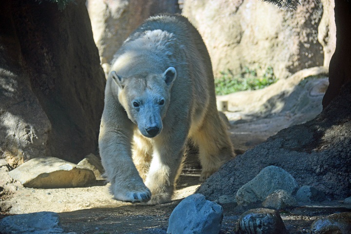 a0151913_17512449.jpg