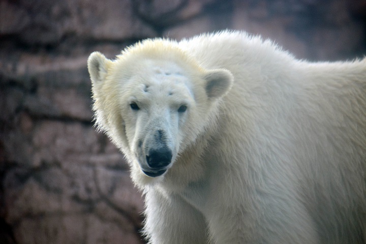 a0151913_17524514.jpg