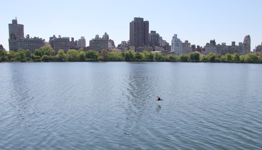 c0328616_11443361.jpg