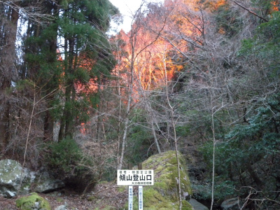 e0272335_20155876.jpg