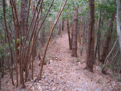 e0272335_20215015.jpg