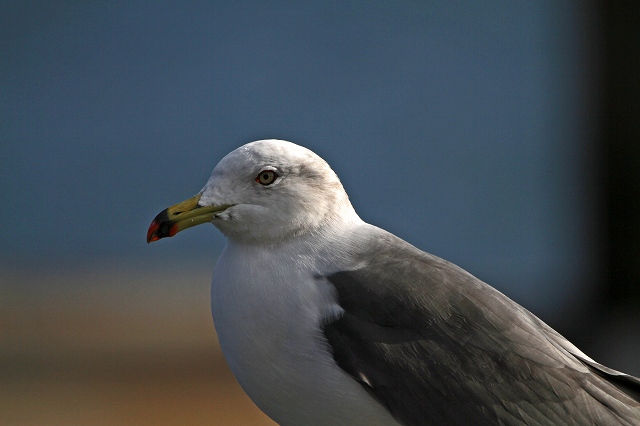 a0242438_2011541.jpg