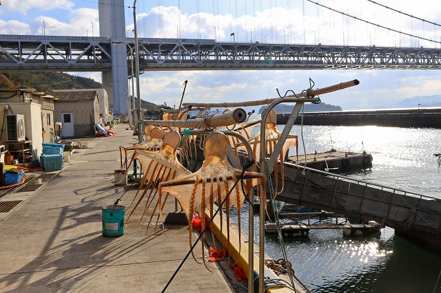 a0242438_202285.jpg