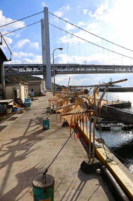 a0242438_202827.jpg