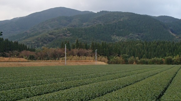 b0050067_23172312.jpg