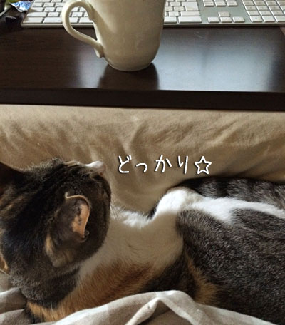 a0119470_20311398.jpg
