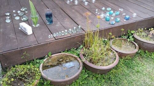 a0302478_8501465.jpg