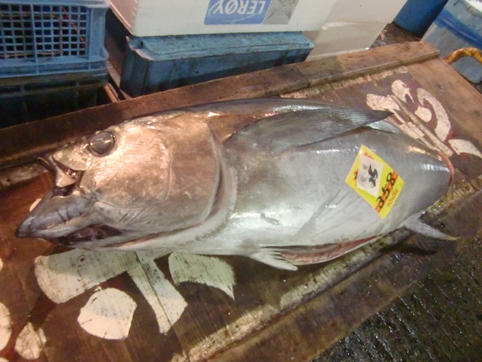 f0238779_114562.jpg