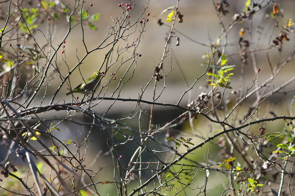 a0083081_20422073.jpg