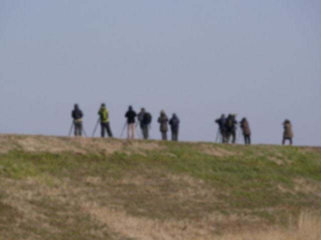 d0088184_22330643.jpg
