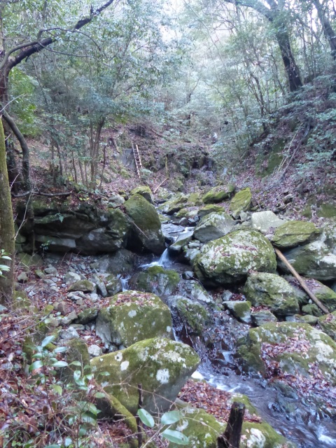 f0357487_2224192.jpg