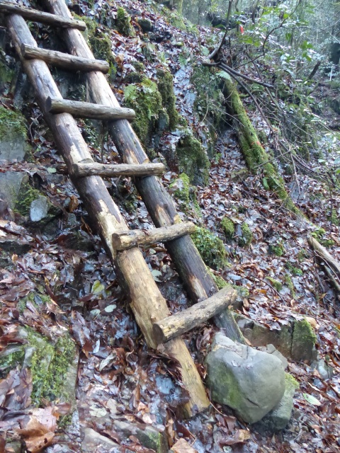 f0357487_2226674.jpg