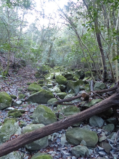 f0357487_2231521.jpg