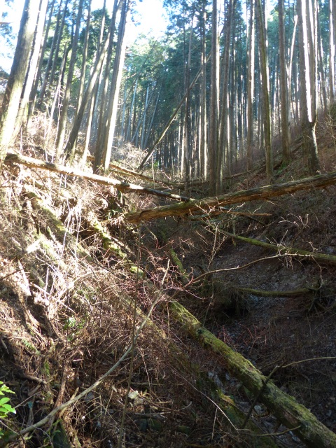 f0357487_2237159.jpg