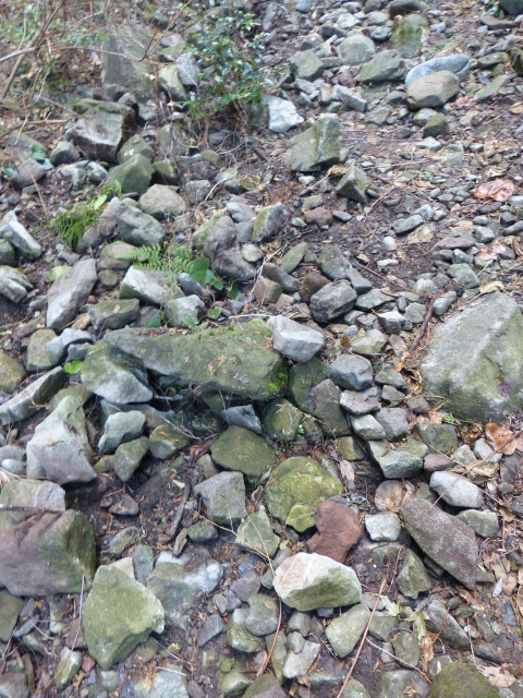 f0357487_22413270.jpg