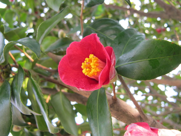 a0166196_943977.jpg