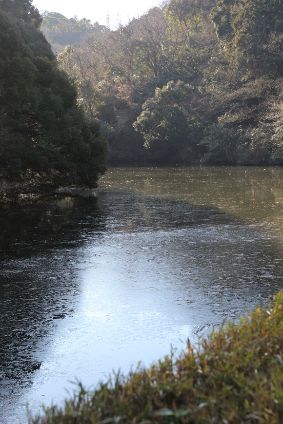 b0275998_12122498.jpg