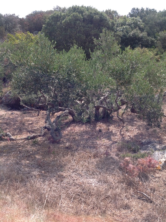 c0109306_1857734.jpg