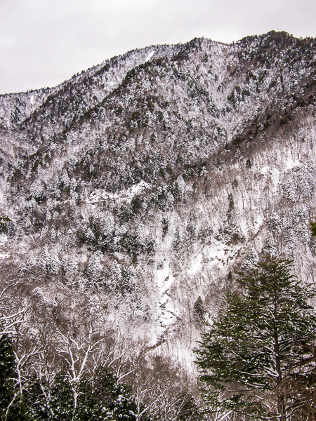 b0244811_023996.jpg