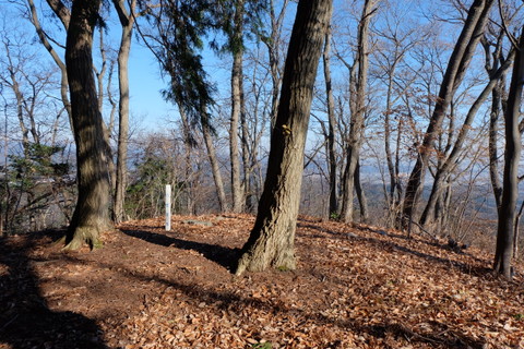 b0281732_12291329.jpg