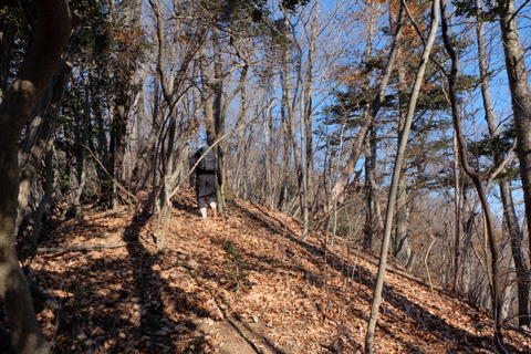 b0281732_12293753.jpg