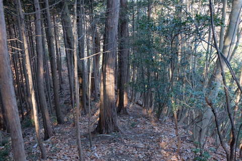 b0281732_12301496.jpg