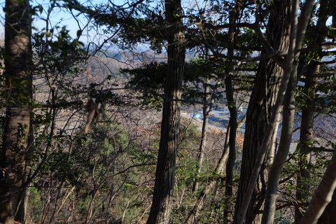 b0281732_12305975.jpg