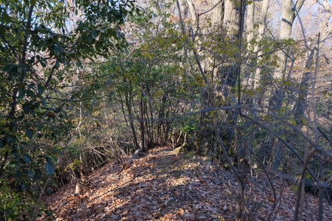b0281732_12311456.jpg
