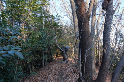 b0281732_12313248.jpg