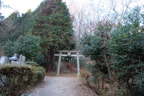 b0281732_1232185.jpg