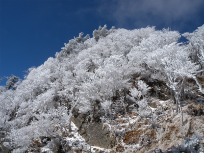 e0272335_4593719.jpg