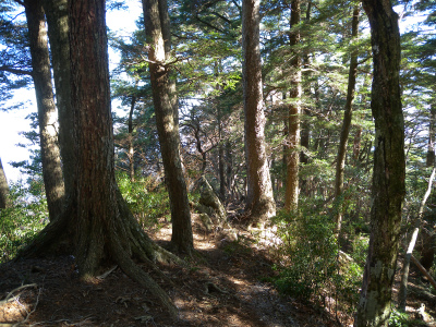 e0272335_535812.jpg