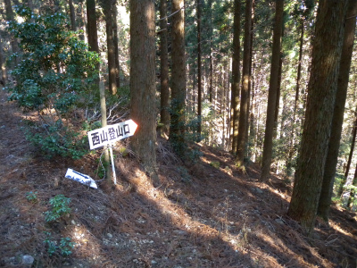 e0272335_5372415.jpg
