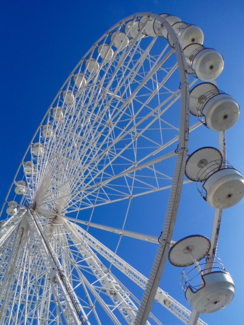 d0167041_23593117.jpg